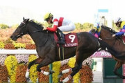 【競馬予想】第16回阪神カップ(GⅡ) /2021