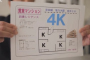 【乃木坂46】岩本蓮加、駅近の物件を希望。