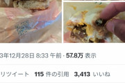 【悲報】マクドナルドから「ナット」が出てきてしまう