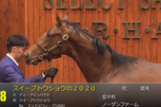 【セレクトセール】ディープインパクト産駒「スイープトウショウの2020」は2億円　池田豊治氏が落札