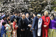 桜を見る会、前夜祭会費差額補填巡り安倍晋三への事情聴取も検討