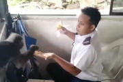 【動画】フィリピン警察さん、猿に昼飯を奪われる