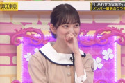 【乃木坂46】堀未央奈が2期生の2人をぶった斬るｗｗｗｗｗｗｗ