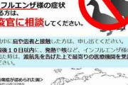 【悲報】鳥インフルエンザ、ガチでヤバい 哺乳類のアシカが716頭死亡、人間も死亡