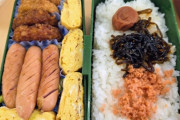 【画像】こういうのでいいんだよ的手作り弁当、見つかる