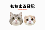 【悲報】もちまる日記「助けて！活動再開したのに登録者２万人も減ってるの！どうして？！」