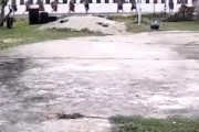 【動画】11歳が運転する車が僧侶の列に突っ込み8人死亡、13人重傷。