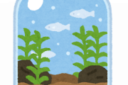アクアリウム始めようかと思ってるんやが？