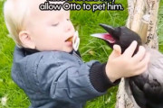 野生のカラスが2歳児と親友になる…でも他の人間には触らせない