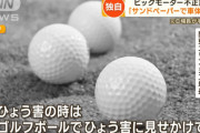 ビッグモーター社長「お、お客様の車を…ゴルフボールで故意に傷付けるなんて」涙ﾂｰ