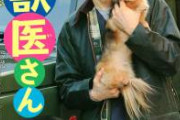 【画像】猫病気系youtuber、獣医師に見付かる