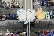 【悲報】ワイ、ガンプラの置き場がついになくなる
