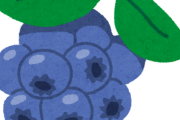 昔の人「ブルーベリーは目にいいんですよ」←大嘘でしたｗｗｗｗｗｗ