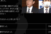 国民民主党って与党なの？　予算賛成、政策協議で波紋　識者はどう見る  4/3