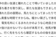 ●キセキ有馬で引退、種牡馬入りへ