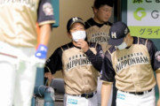 【悲報】この３連戦の日本ハム選手の打率
