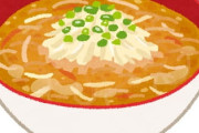 美味い味噌ラーメンの中心に乗ってるひき肉とモヤシをラードで炒めた奴wwww