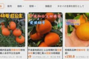 中国人「中日韓が本当の意味で手を取り合い、協力することを心から望んでいます」