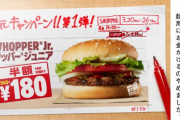 【画像】バーガーキング「お客様への還元を最優先すべく、大物タレントに金かけるのやめました」