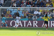 韓国さん、W杯初戦で敗れてしまうwww