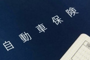 自動車保険全然解らないんだが?