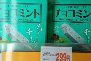 韓国人「日本のアイスクリーム、こんなに手頃で美味しいの？」→「この価格で7個入り」