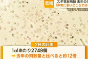 【悲報】花粉、去年の12倍