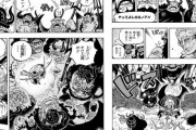 ワンピース最新話、何をやっているのかわからないｗｗｗｗｗｗｗｗｗｗｗｗ