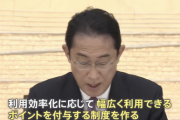 【悲報】岸田首相「ポイント制度を作って電気代負担を実質的に軽減する」