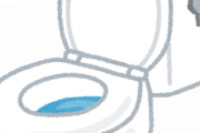 【これマジ？】一人暮らしの時にトイレまとめて流すやつｗｗｗｗｗｗｗｗ