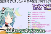 Vtuber 【潤羽るしあ】ストレスで逆流性食道炎になって体調崩して実家帰るって言ってたが、誰がここまで追い詰めたんや…