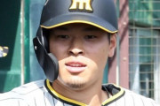 甲子園で佐藤輝らのコラボグルメ発売　おふくろの味「輝ヤキ丼」など