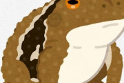 ヒキガエルとかいう女受け抜群の最強のペット