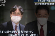 【テキトー】岸田首相『ヒェッ…秘書官の差別発言で怒られたしLGBTの法案作り進めるわ』