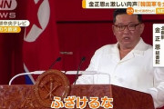 【無慈悲】北朝鮮・金正恩「韓国を全滅させる」←そんな…?