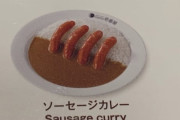 【画像】CoCo壱番屋のカレー、ガチでヤバイ