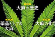 【画像】 警察庁「大麻は有害です！」←リプ欄がとんでもない事になってしまうwwwywwwywwwywww