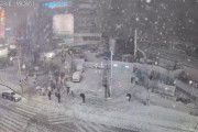 【画像】東京新宿の雪やべえなｗｗｗ