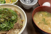 【日本終了】牛丼の値段、限界突破する･･･