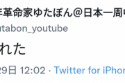 【悲報】ゆたぼん「財布落とした」 アンチ「ペイペイがあるだろ」 ゆたぼん「スマホ壊れた」