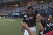 FA権持ち(Cランク)ロッテ清田さんの成績