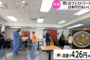 【画像】アメリカのマクドナルドや牛丼屋の価格ｗｗ