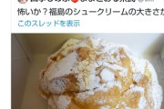 【炎上】福島のジャンボシュークリームを「放射性物質で突然変異」と揶揄したX民に批判殺到