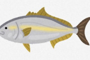 【速報】　「一番おいしい魚」、遂に決まる……！　８７％の日本人が同意へ