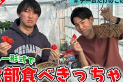 【天才】東海オンエア「ビニールハウスのいちご全部食べきっちゃう！ｗ」