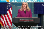 【画像】ドナルド・トランプさん、報道官に27歳のめちゃシコ金髪女子を任命ｗｗｗｗ