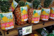 台湾産パイナップル　西友３００店舗で即日完売