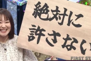 【賛否】R-1グランプリで吉住さんが『デモ活動』ネタを披露「大丈夫ですか？私を敵に回して。私、自分の意見押し通すプロなんですよ」