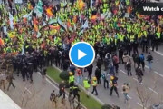 【衝撃】「これが我々の戦いだ！」スペイン農民、マドリードを占拠⇒「私たちの土地を守れ！」⇒グローバリストによる農業支配に断固抵抗ｗｗｗ