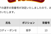【悲報】東北楽天、元安樂の背番号20を新選手につけさせる